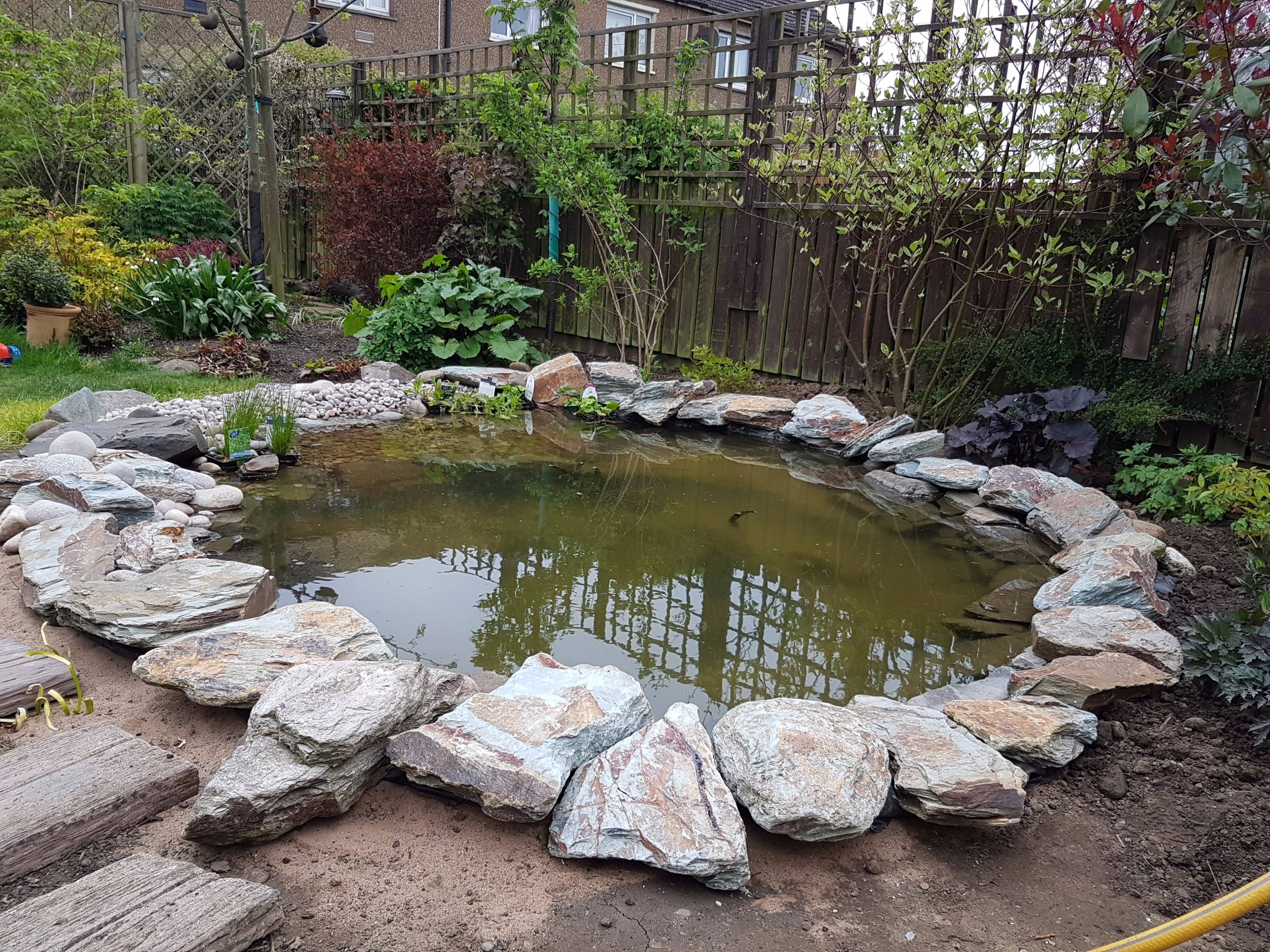 Fishpondgardenpondedgingstonesfishpondplantsforponddecor