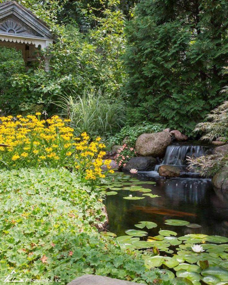 22 Garden Pond Edging Ideas You Must Look SharonSable