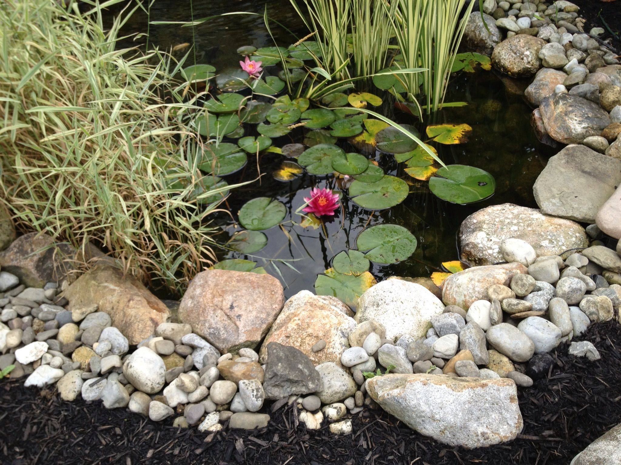 22 Garden Pond Edging Ideas You Must Look SharonSable