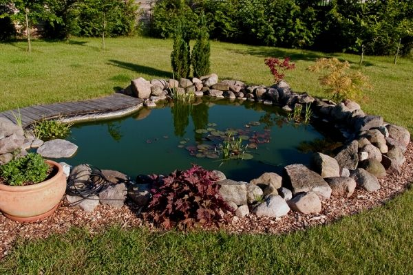 Garden Pond