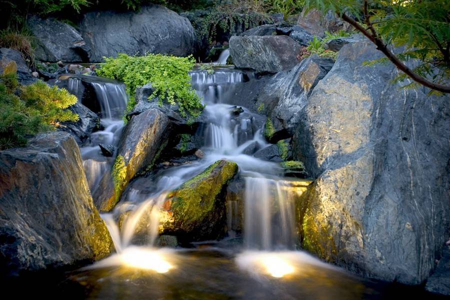 Breathtaking Garden Pond Ideas Garden Lovers Club Ponds Backyard