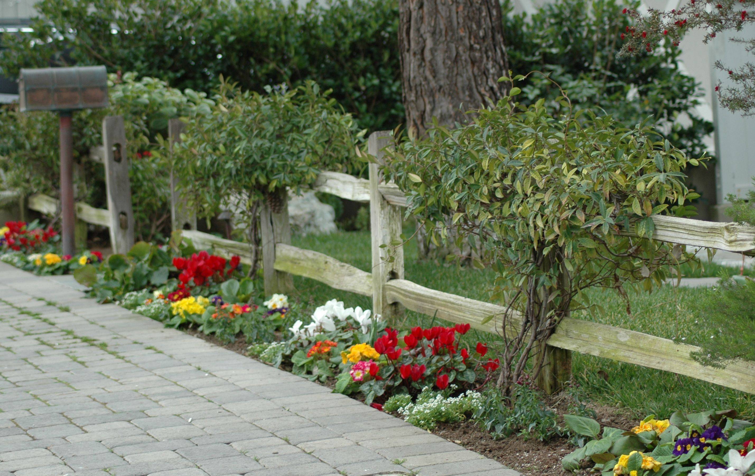 Fence Corner Landscaping