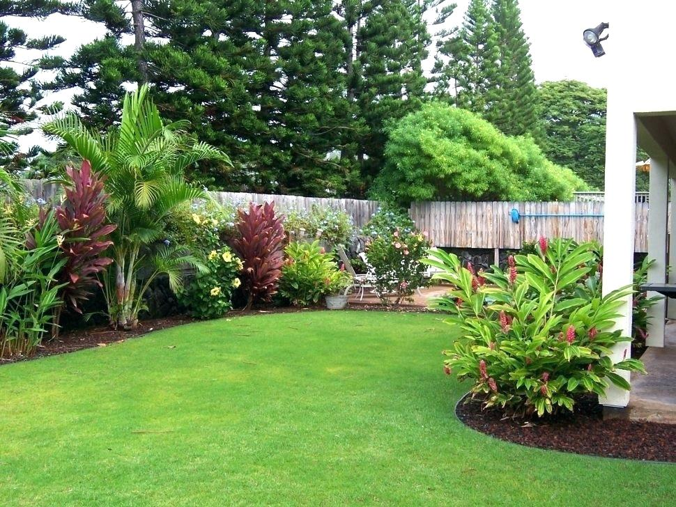Awesome Fence Ideas