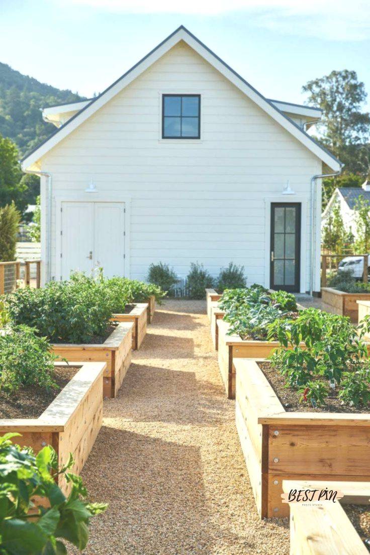 Low Maintenance Front Yard Landscaping Ideas