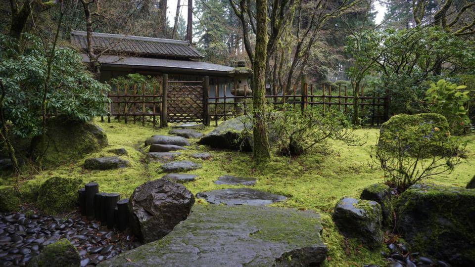 Japanese Tea Garden