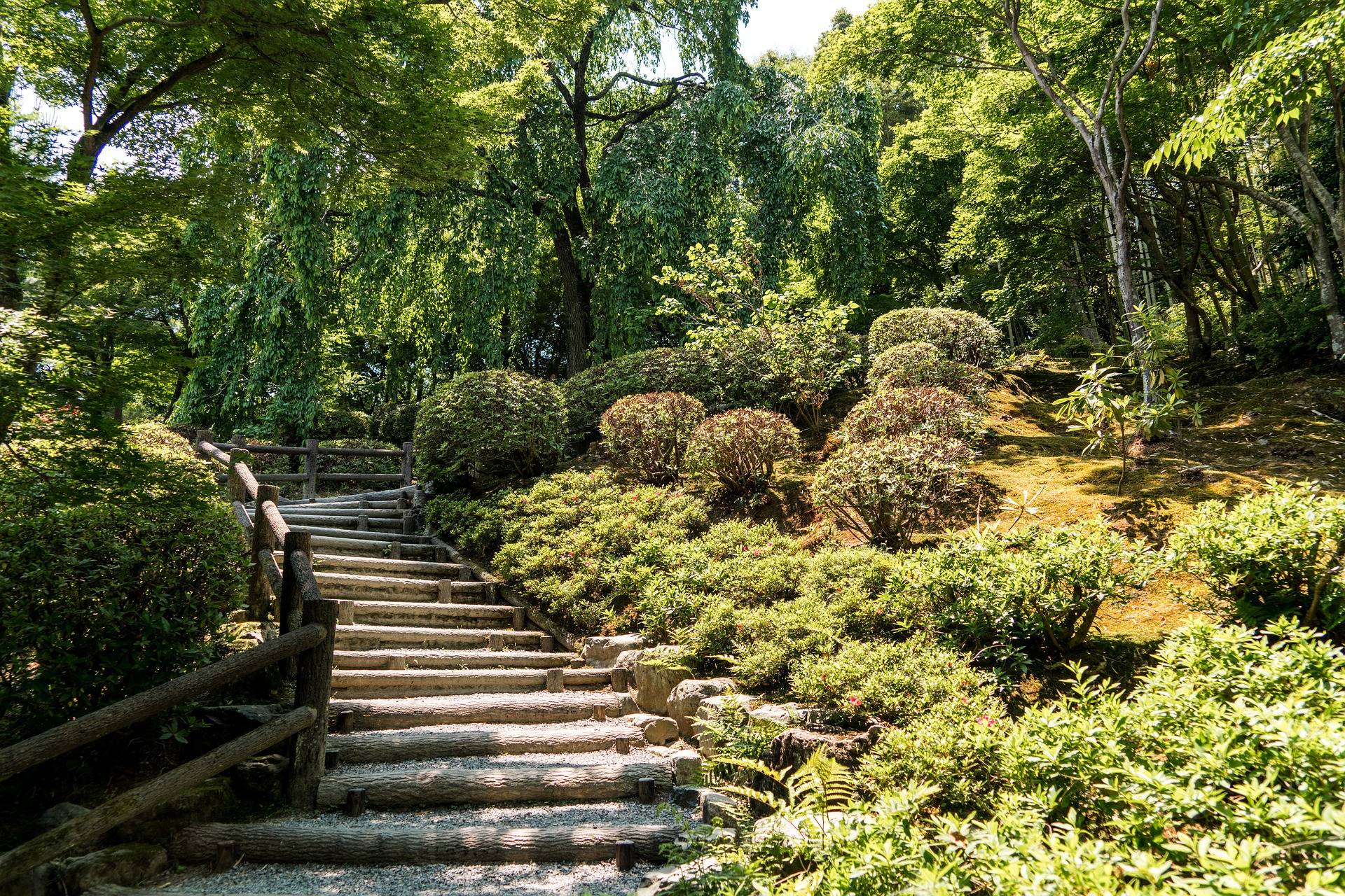 Gardens Japanese Tea House