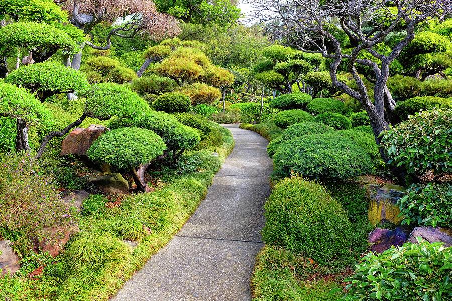 Japanese Garden