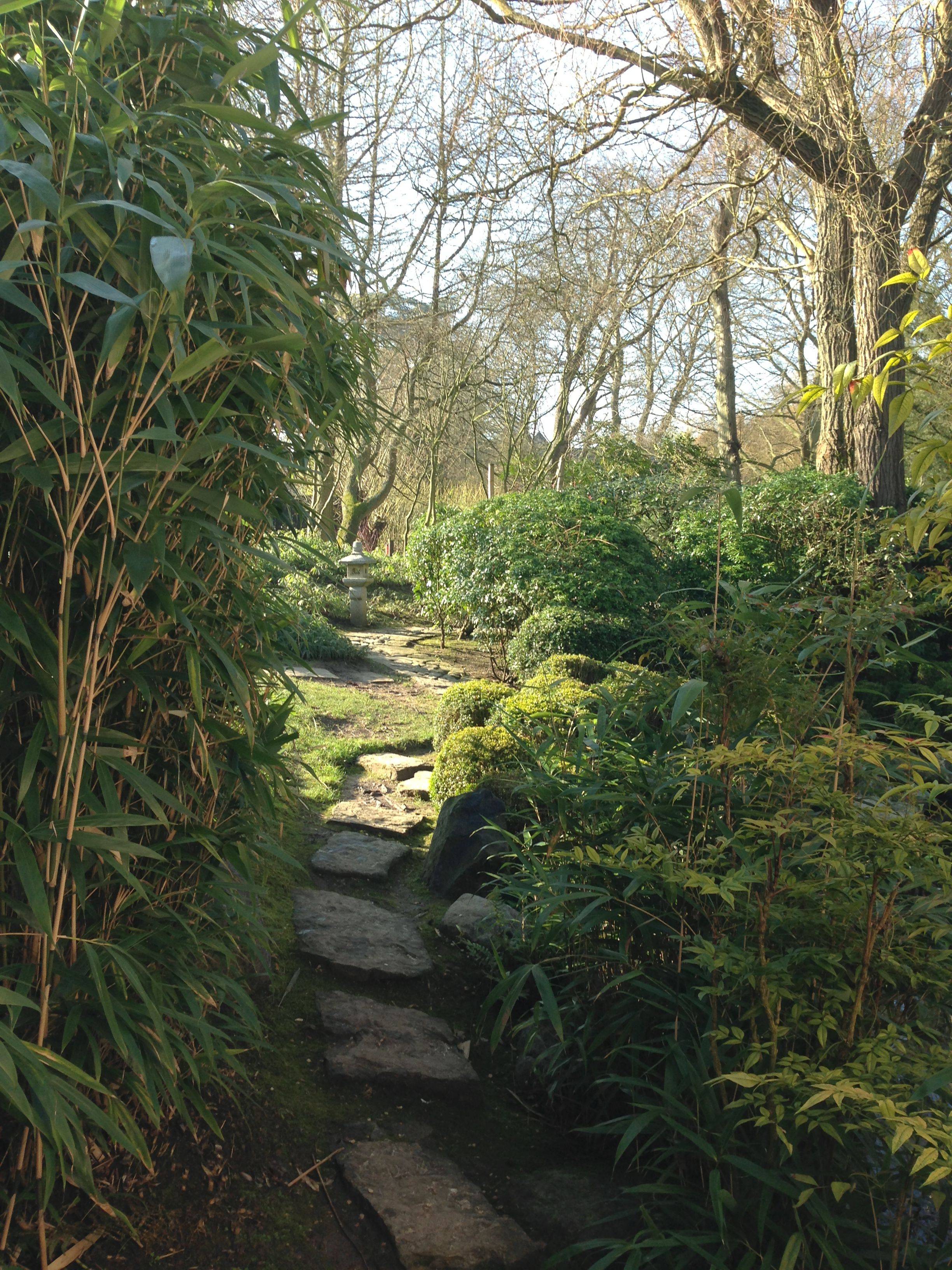 Koi Pond Designs