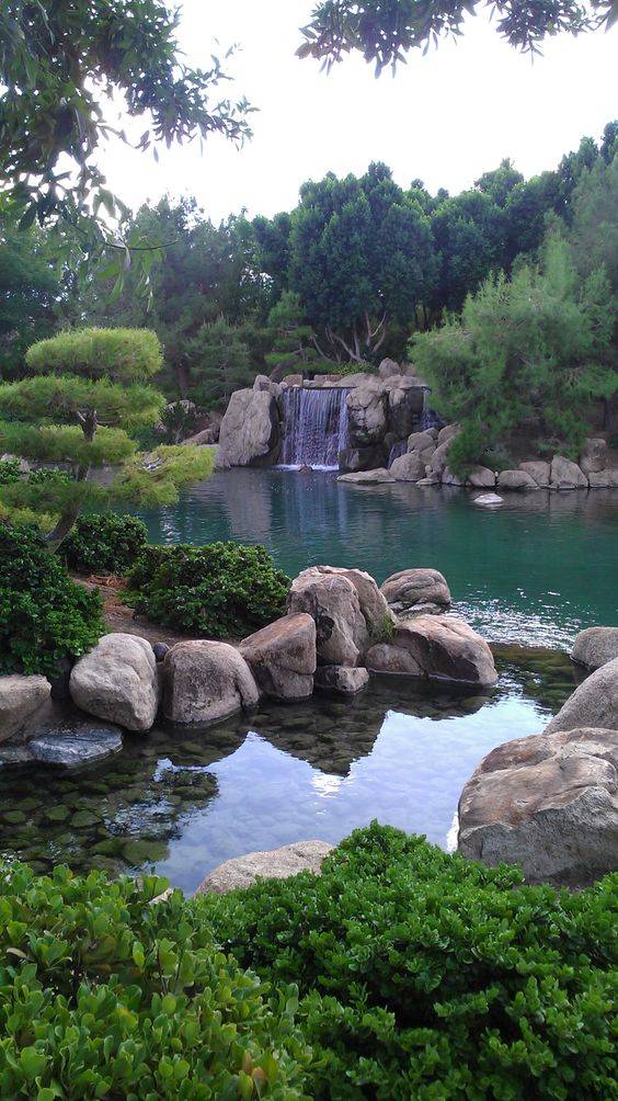 Phoenixs Japanese Friendship Garden