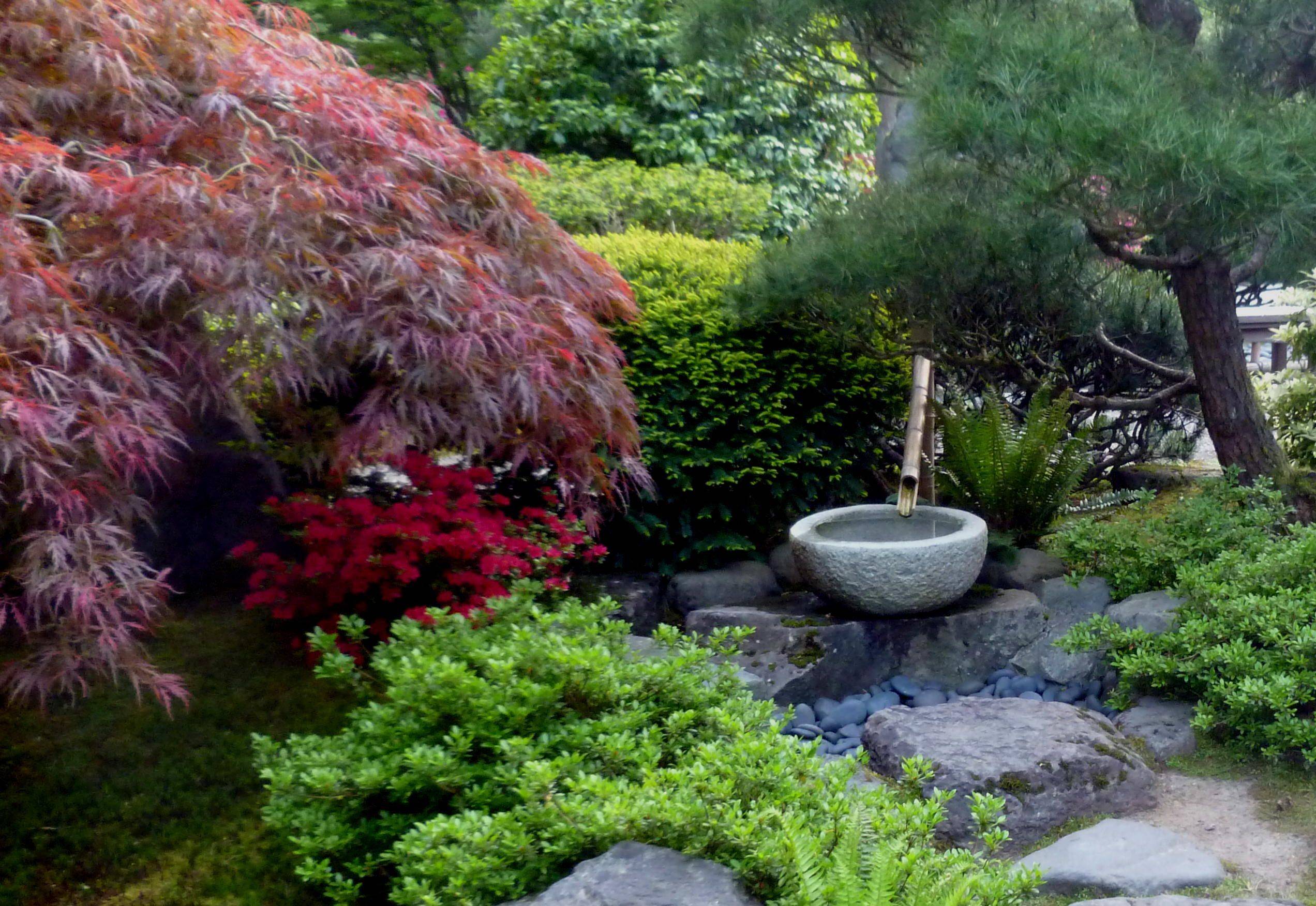 Japanese Friendship Garden