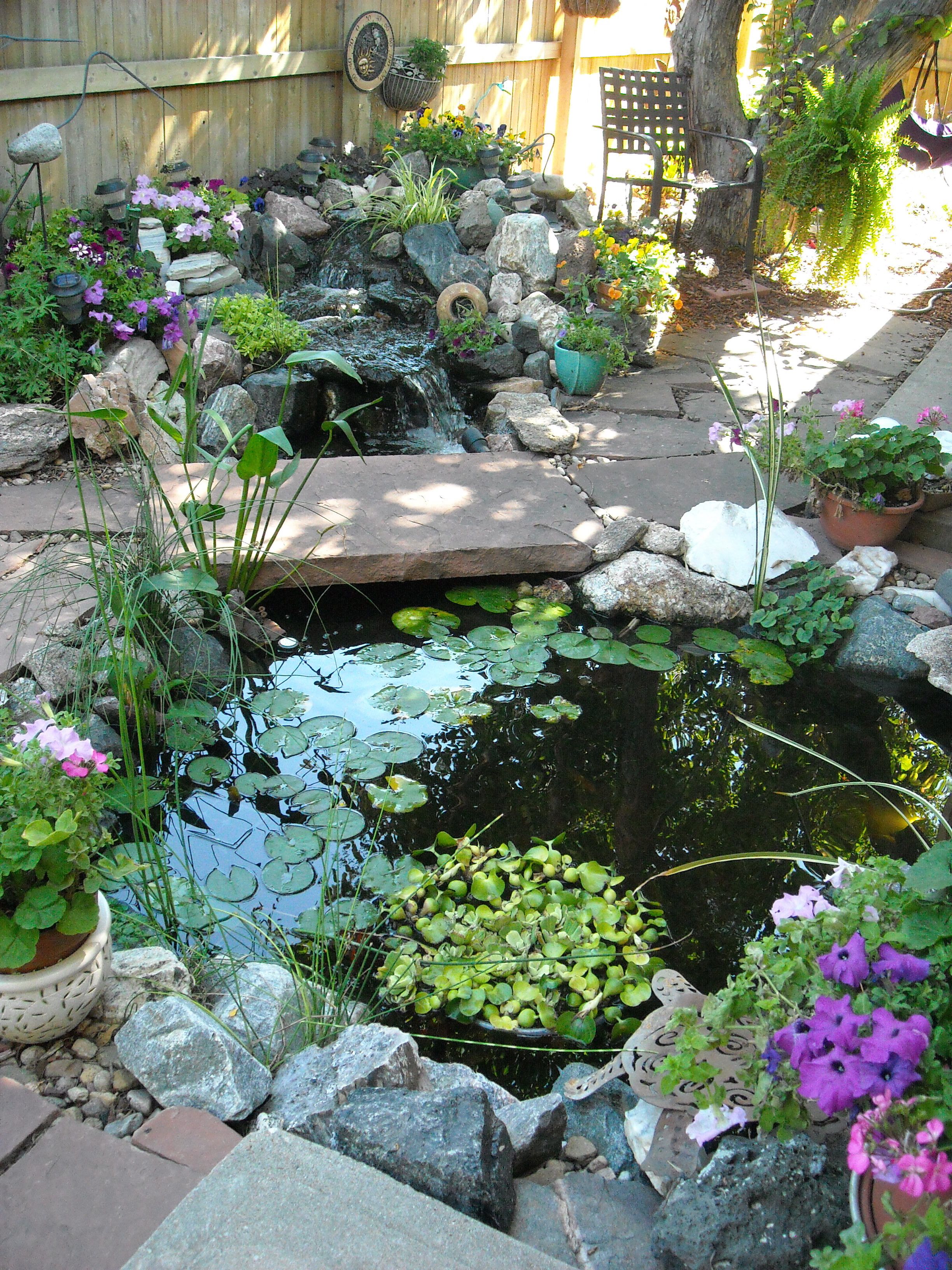 Water Feature Landscaping Ideas Page