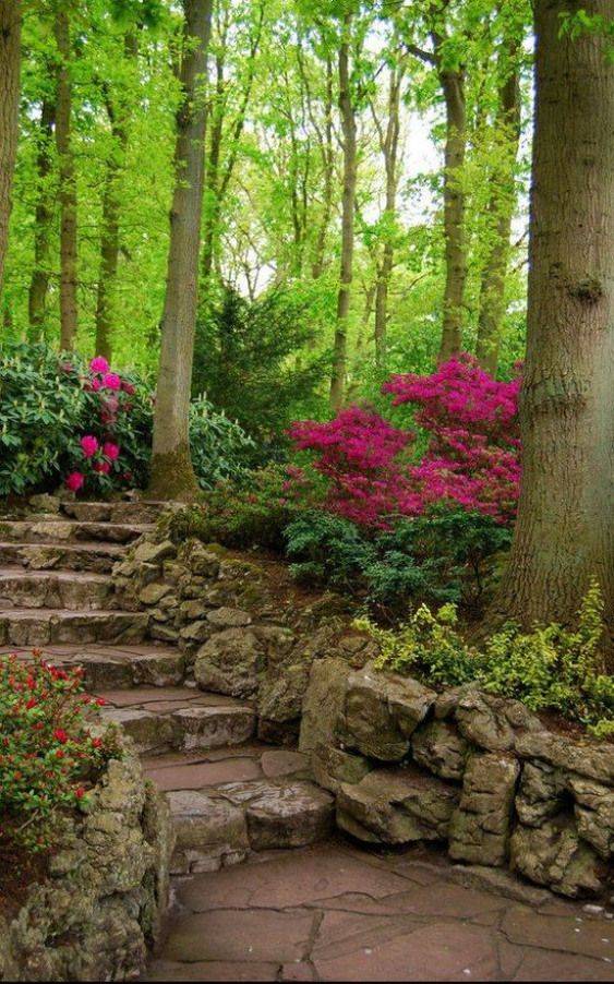 Shady Woodland Garden Ideas Photograph Shade Garden