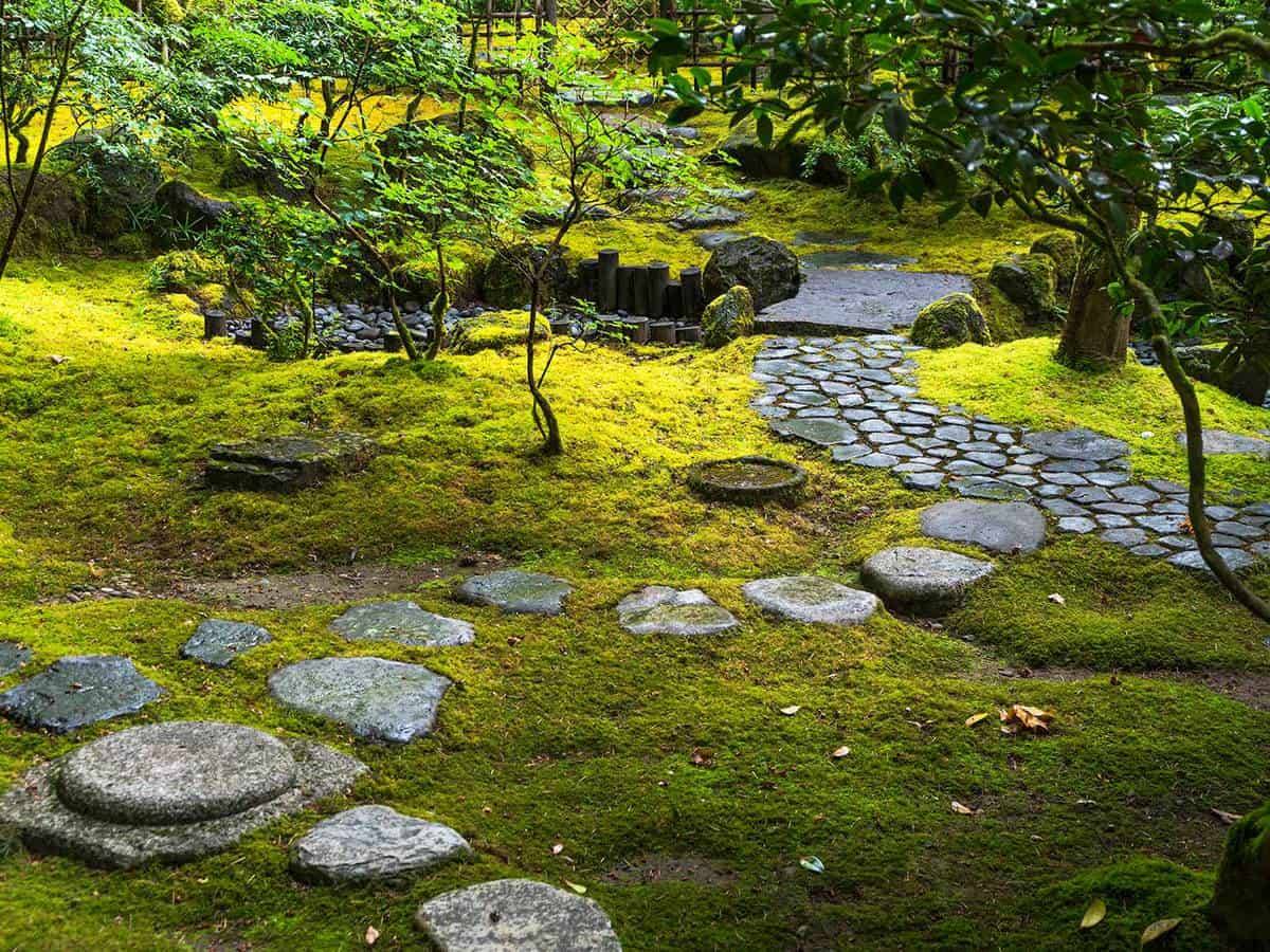 Moss Rock Garden Ideas