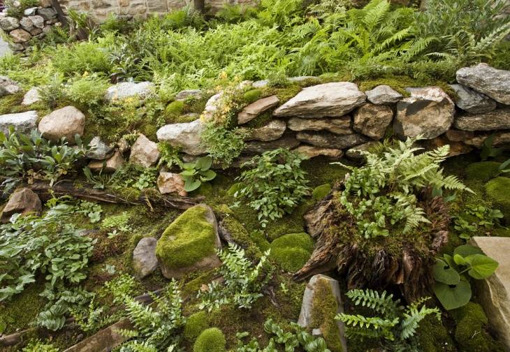 Dry Stacked Stone