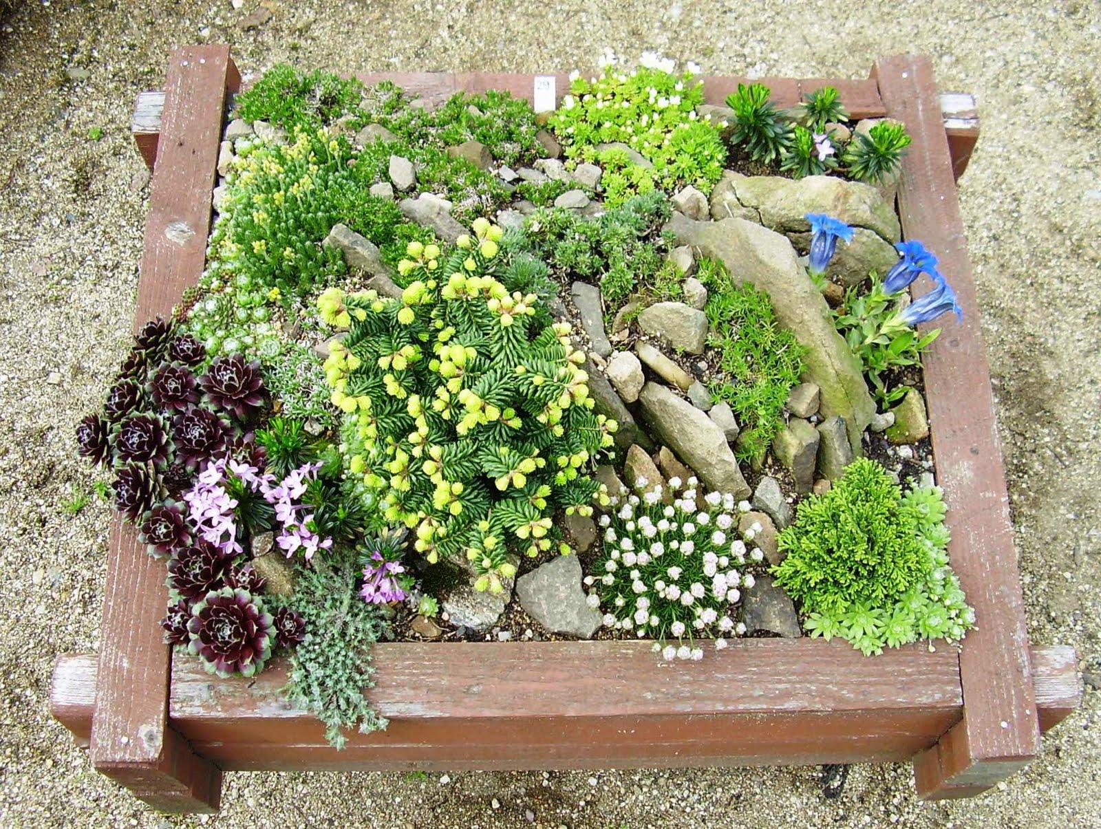 Simple Small Rock Garden Designs