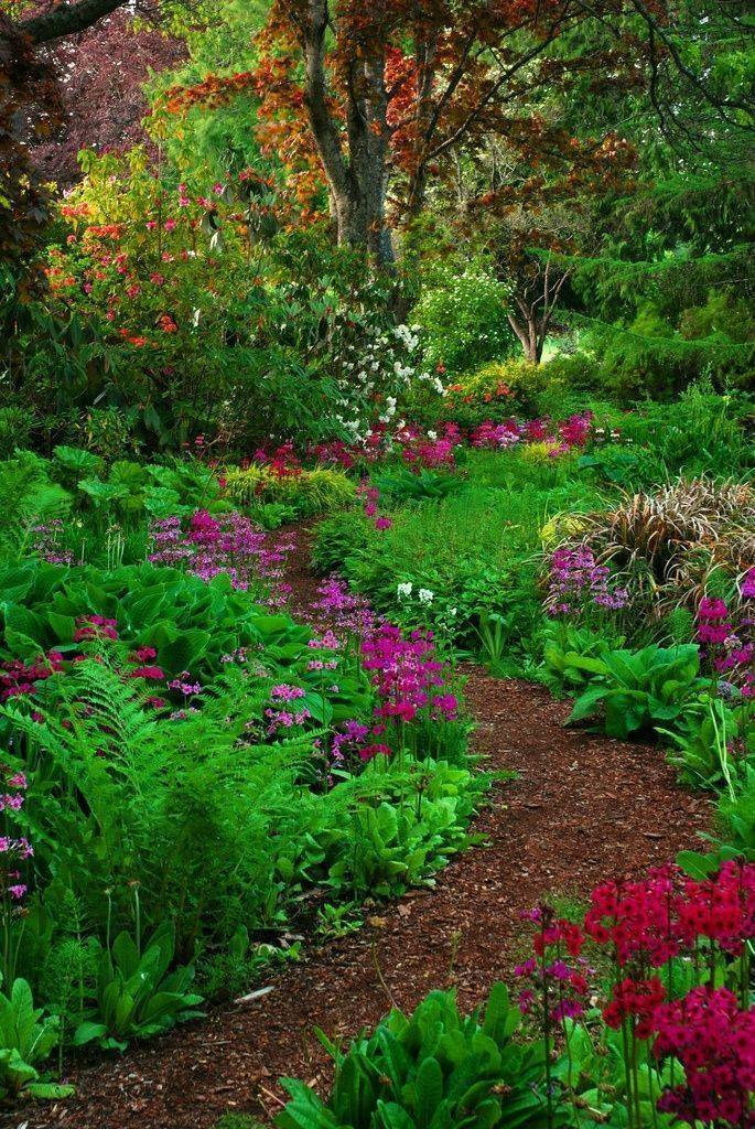 Gorgeous Woodland Garden Landscaping Design Ideas