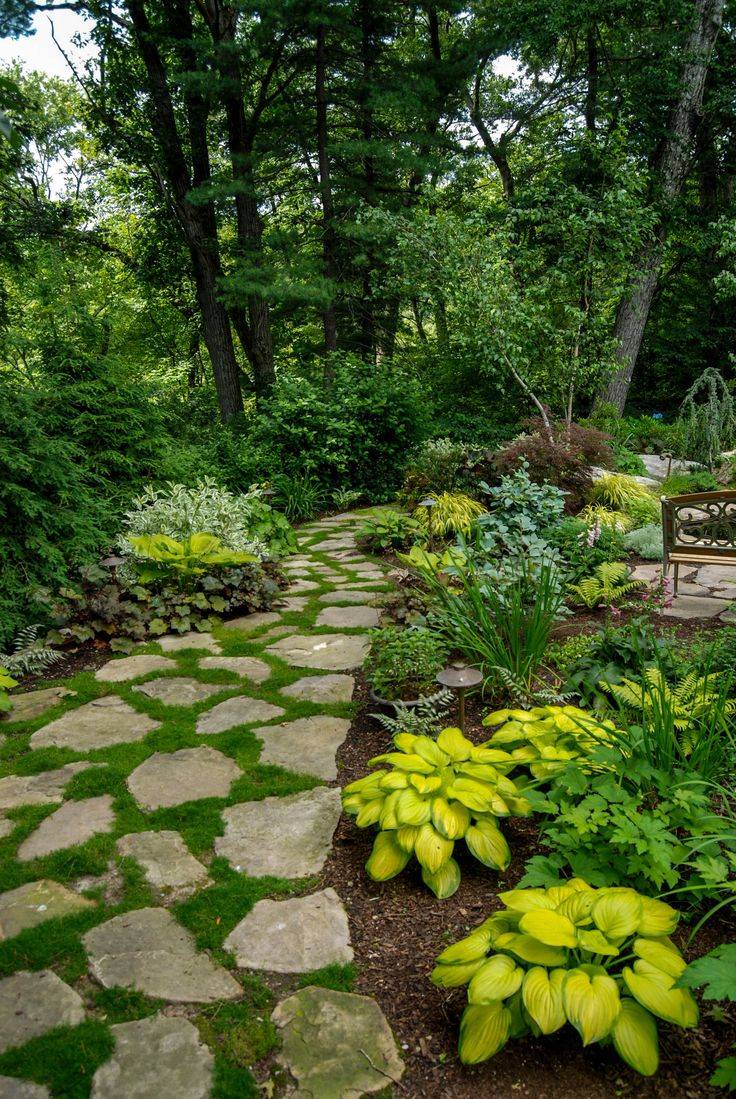 Google Search Small Backyard Gardens