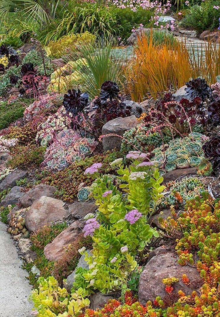 Best Impressive Sun Perennials Front Yard Ideas