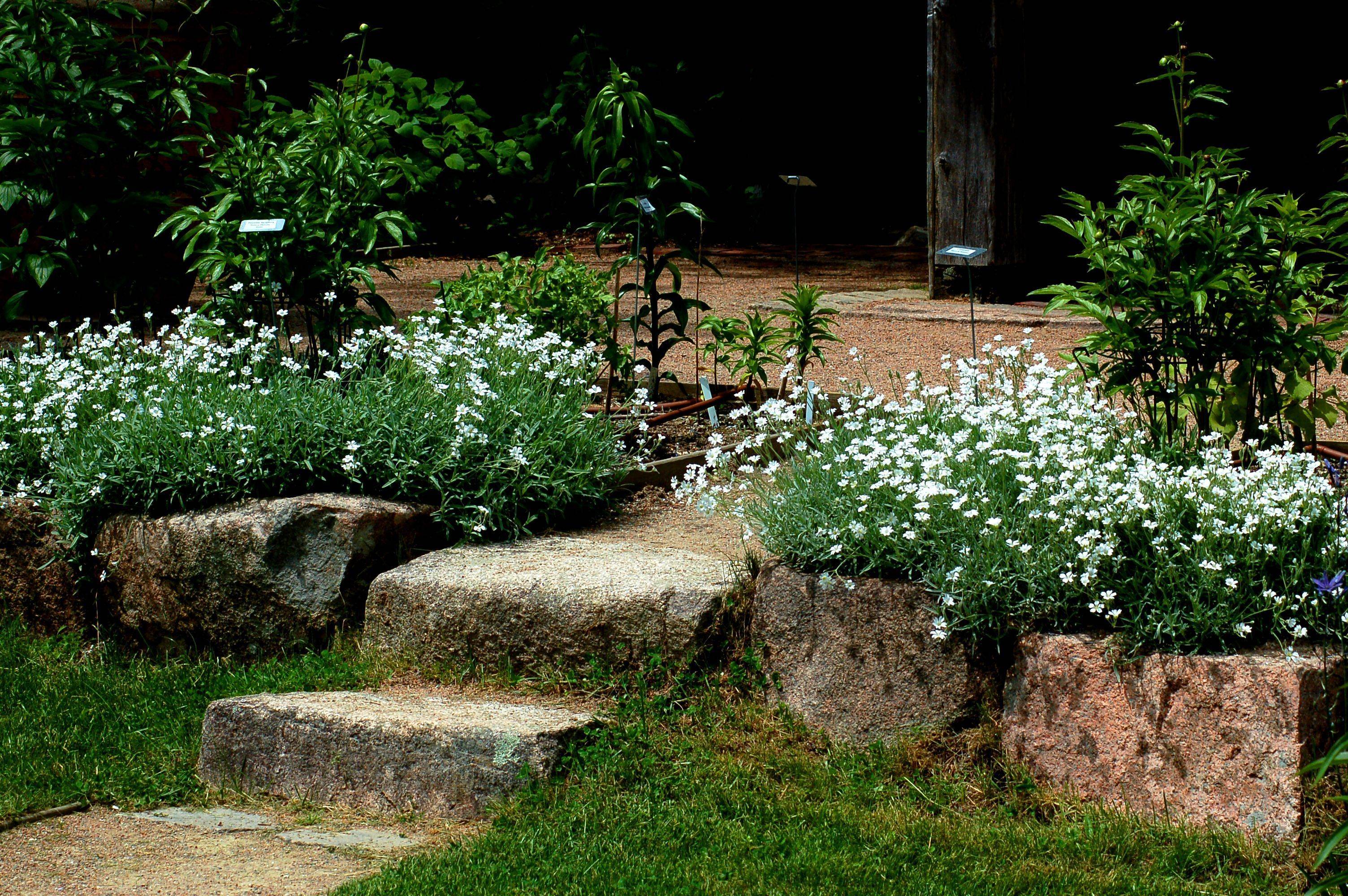 Full Sun Front Yard Rock Garden