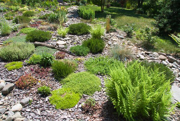 Rock Gardens Sun Hawk Haven