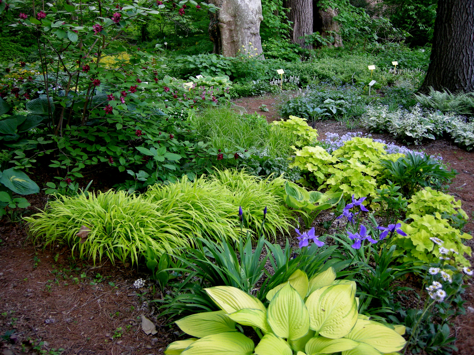 Nice Garden Path Design Ideas