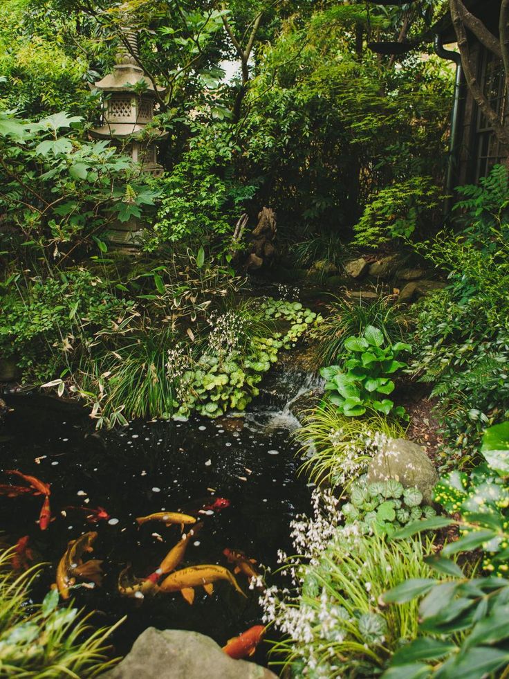 Japanese Flavorthe Portland Japanese Garden