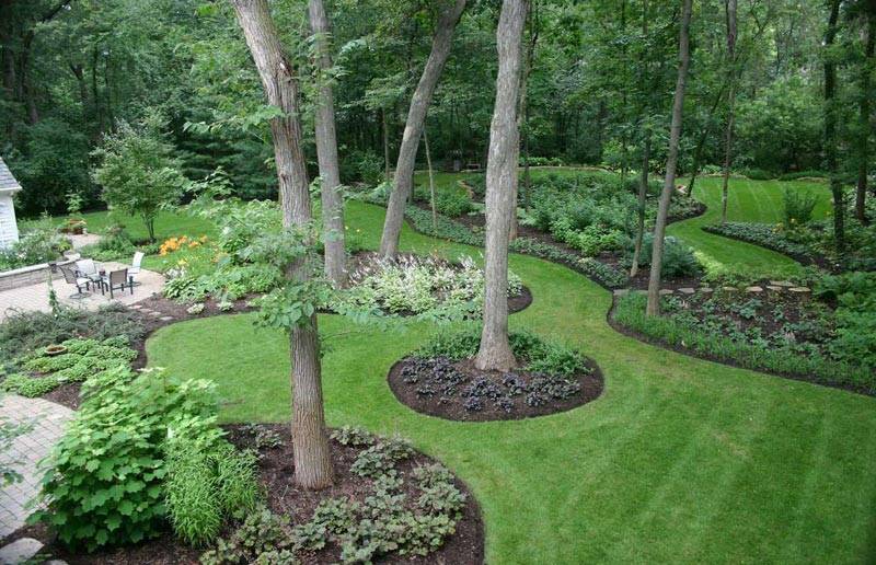 Backyard And Garden Pond Designs