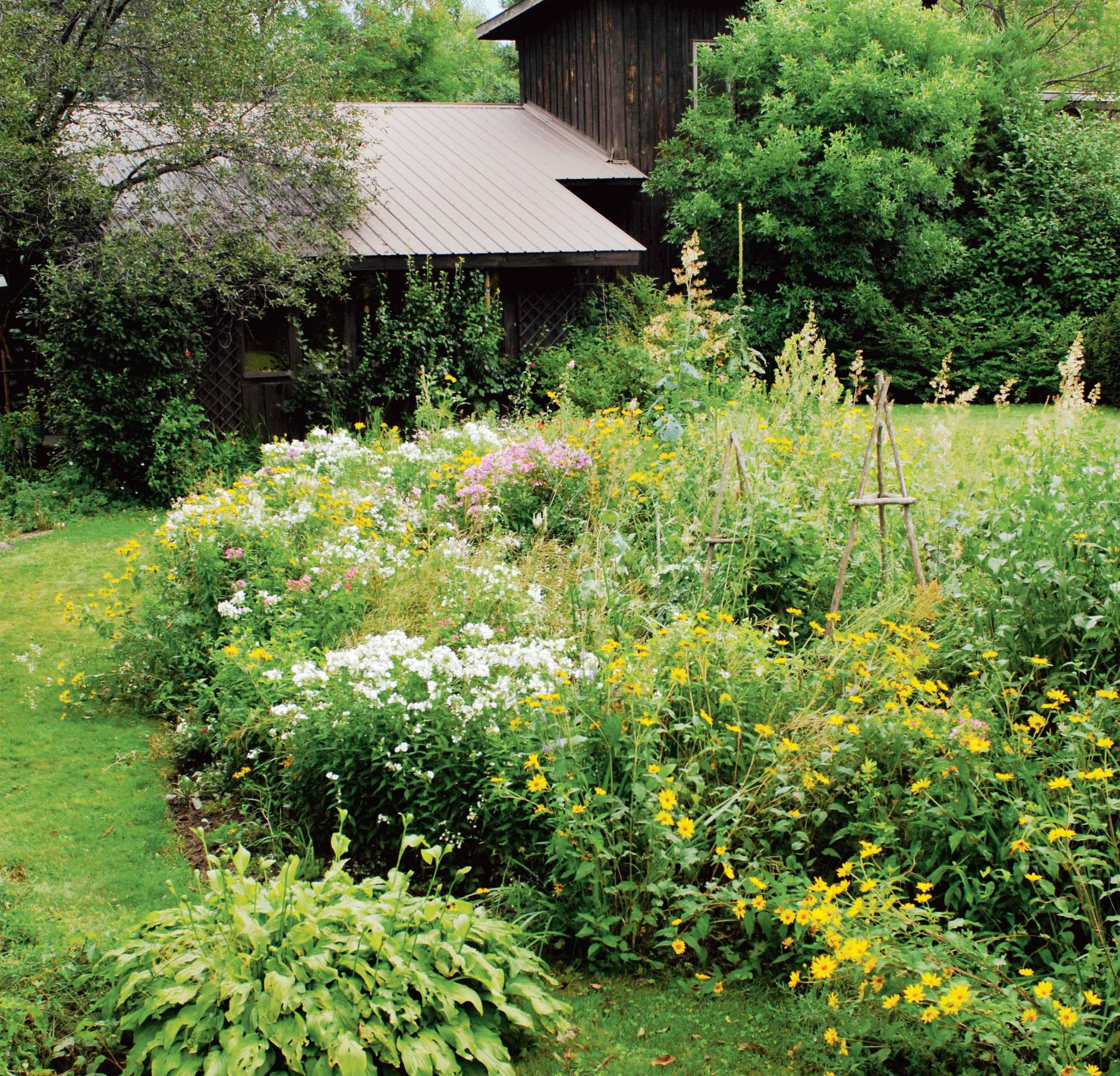 Best Natural Landscaping Ideas