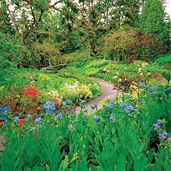 A Cottage Garden And Design Ideas