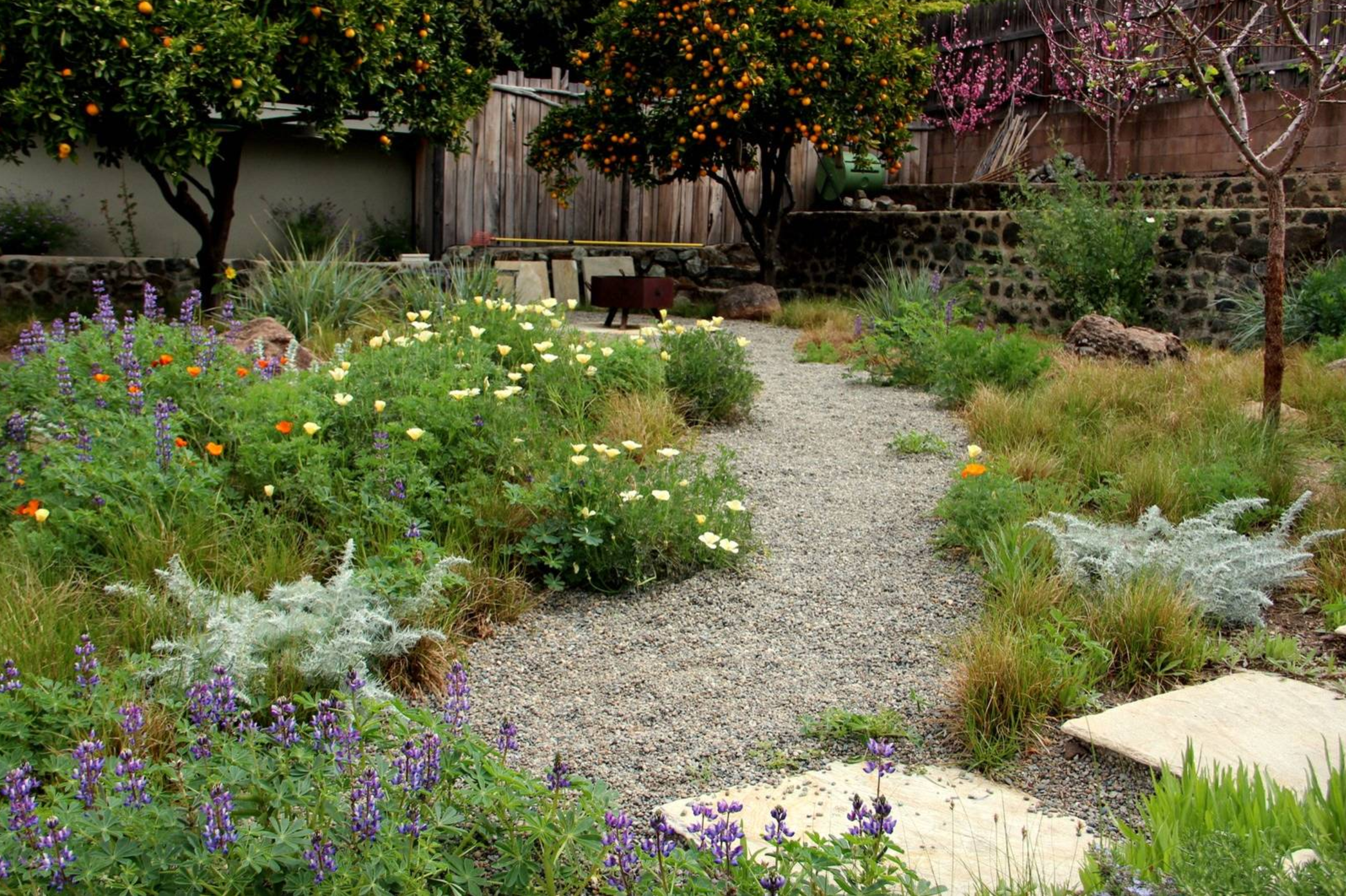 Best Lowwater Landscaping Ideas