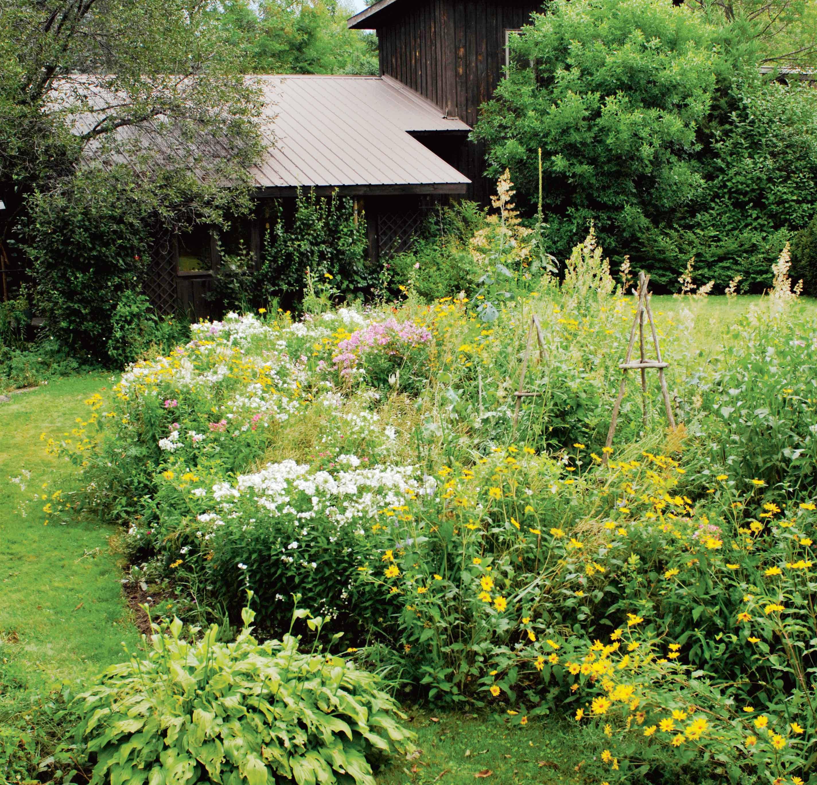 Solterra Landscape Landscaping Berm Ideas