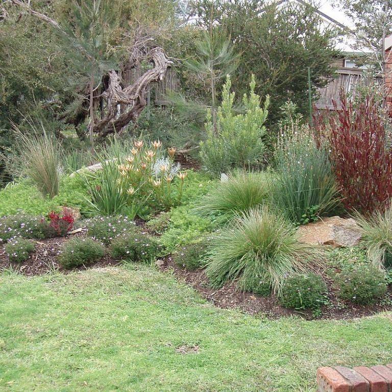 Native Australian Garden Design Ideas