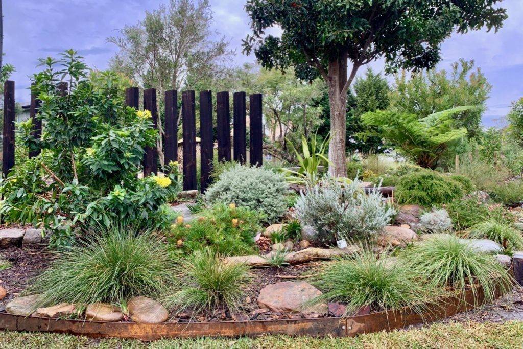 Native Australian Garden Design Ideas