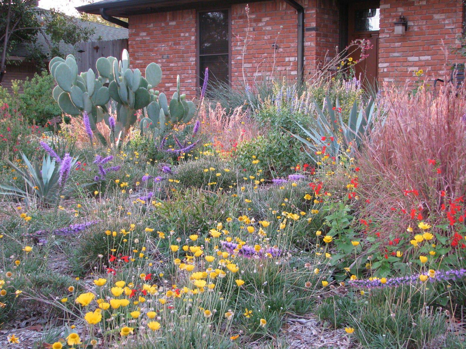 Native Texas Plant Design Plant Design