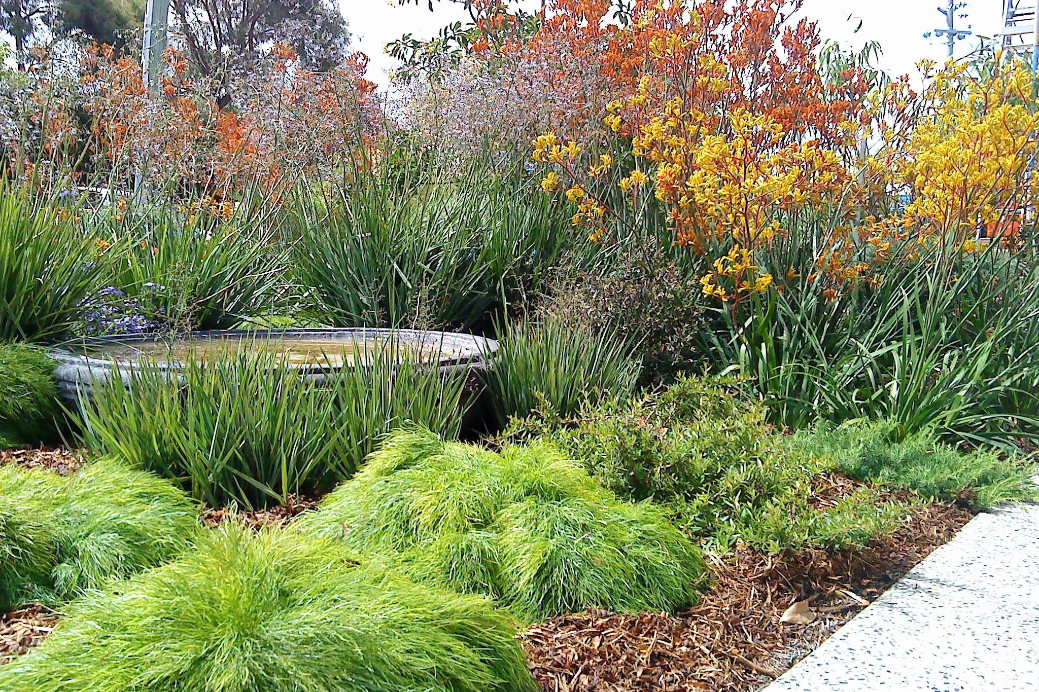 Front Yard Landscaping Design