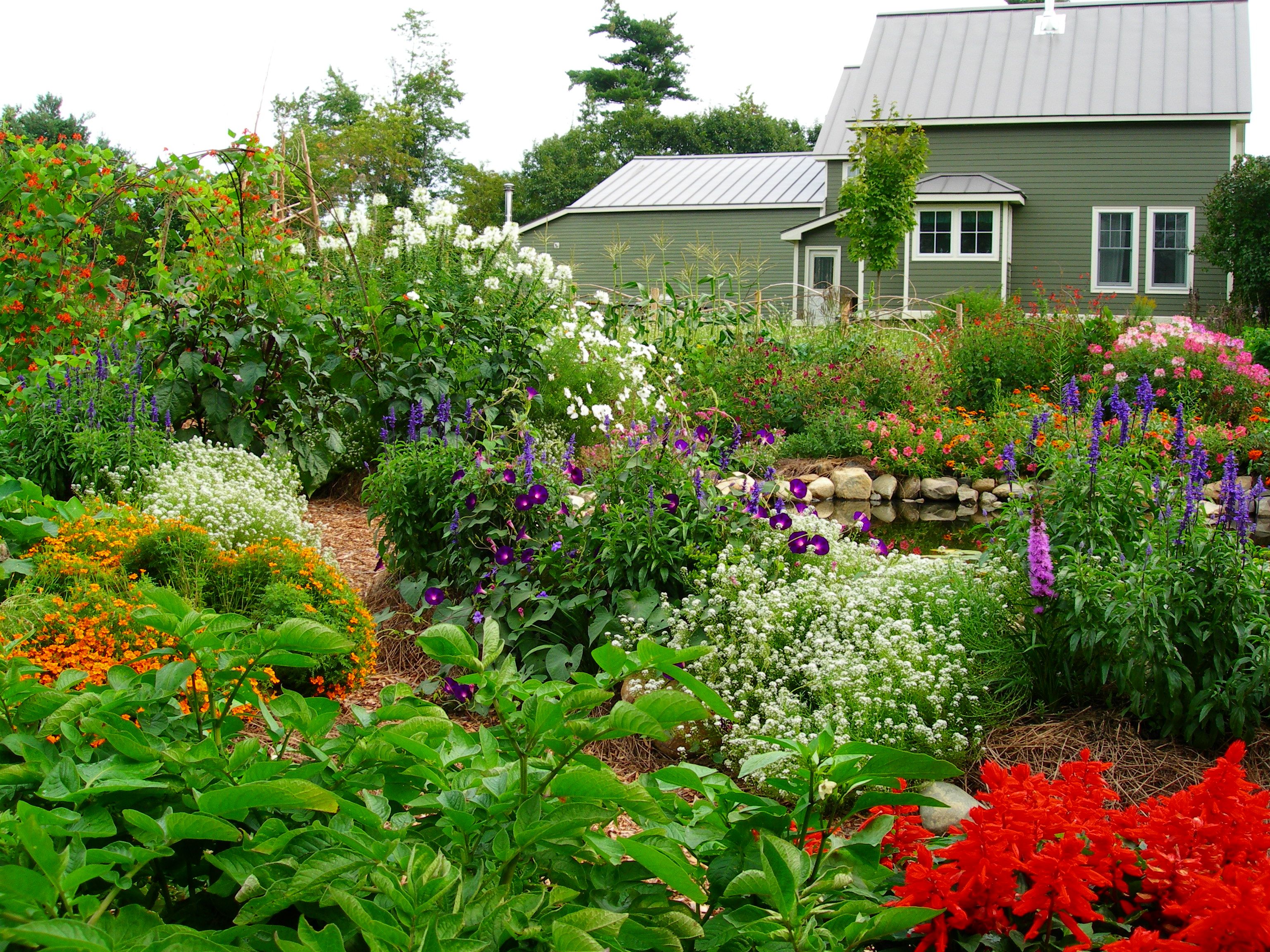 Permaculture Kitchen Garden Jardin Potager