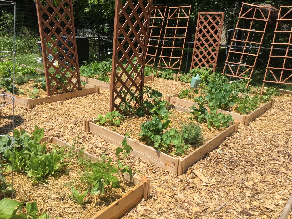 Midwest Permaculture