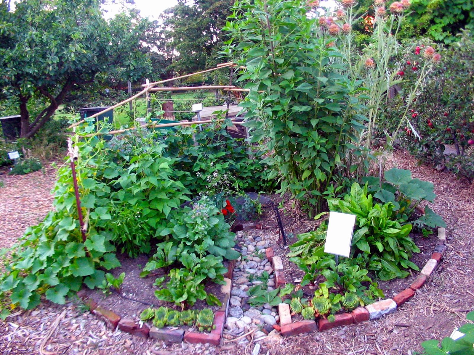 Your Ideal Permaculture Garden