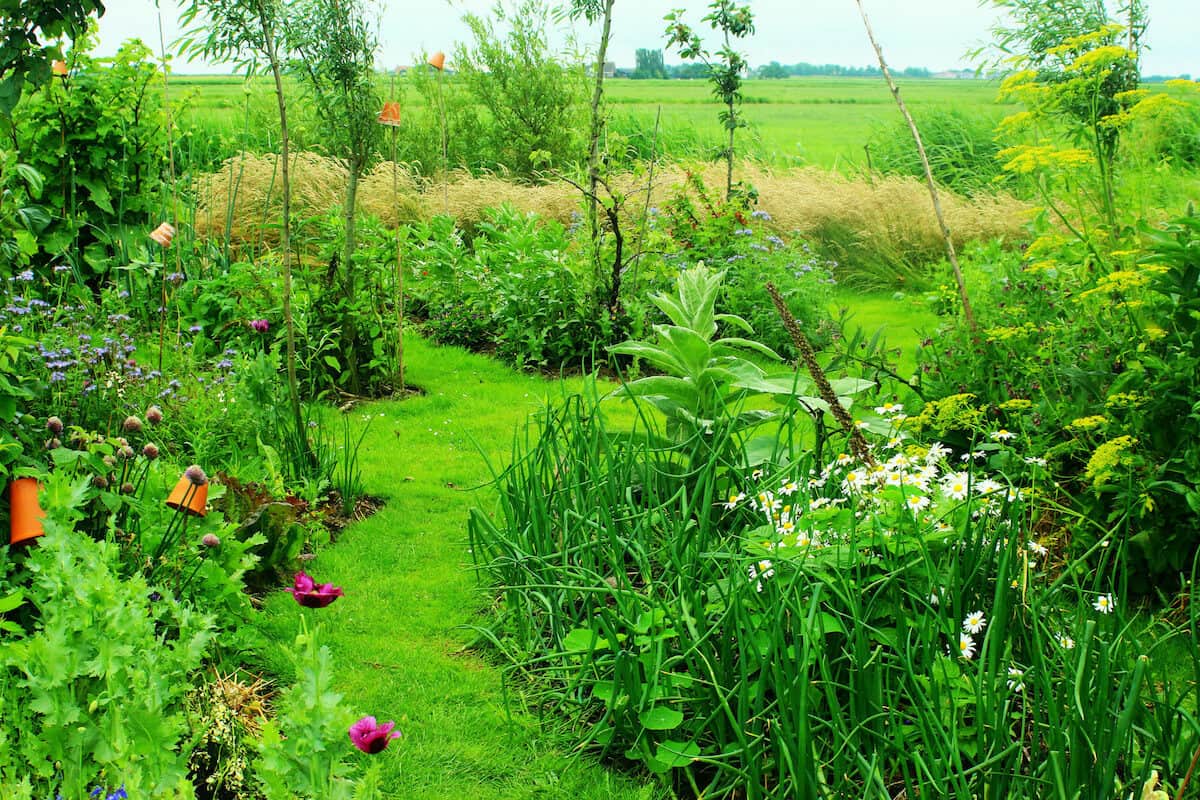 Permaculture Gardening