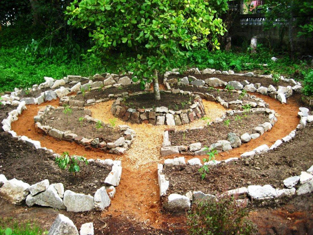Permaculture Garden