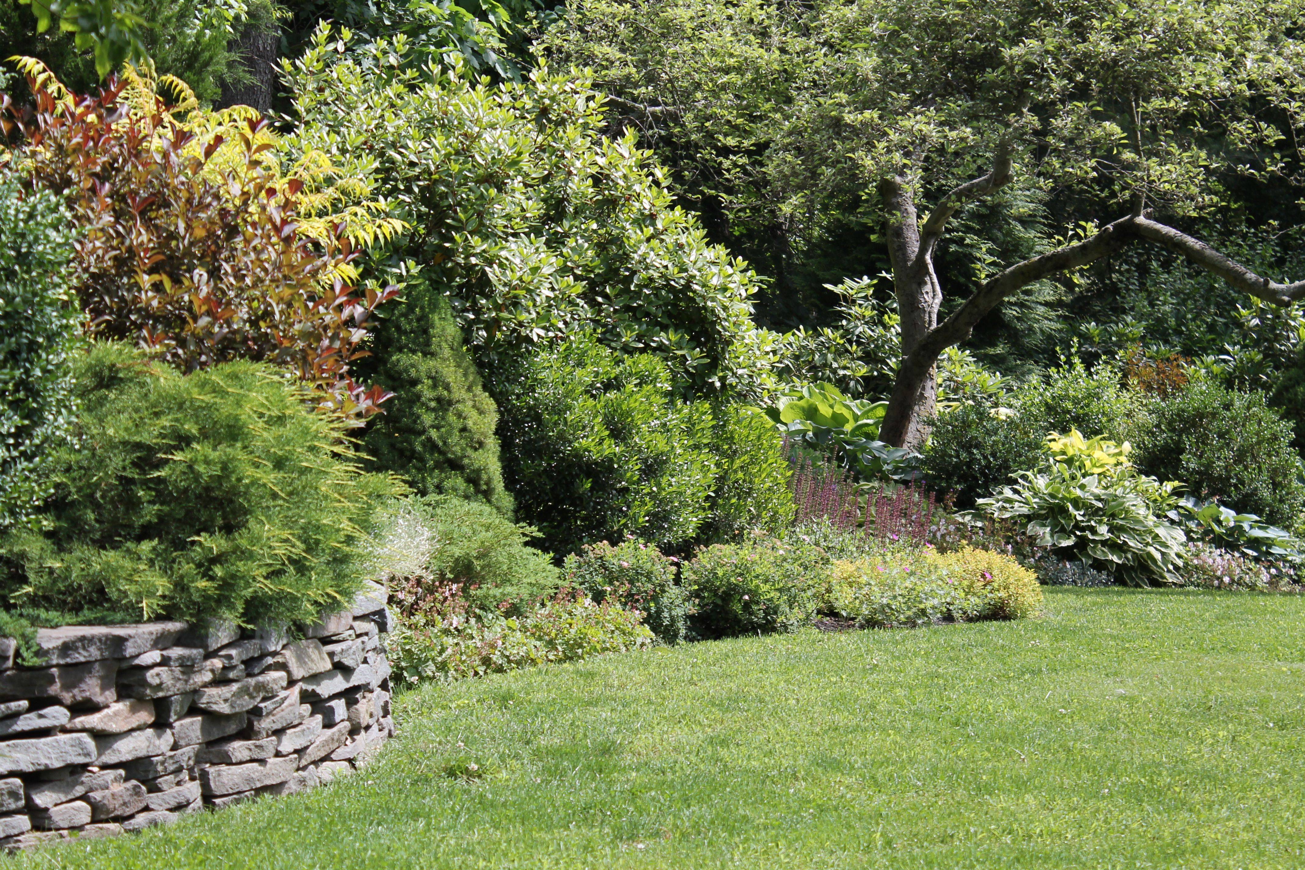Mixed Border Front Yard Landscaping Design