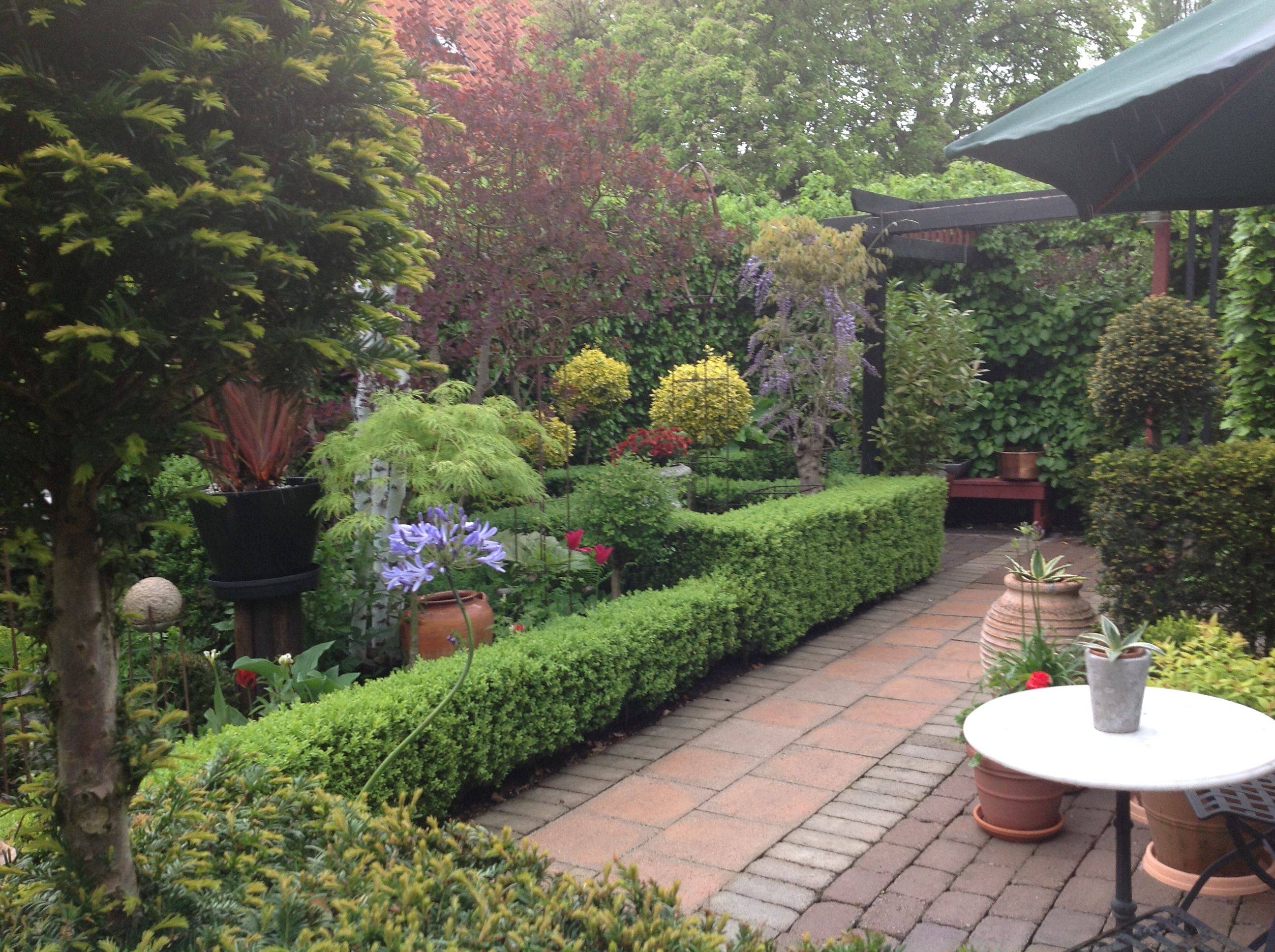 18 Mixed Border Garden Design Ideas Worth a Look SharonSable