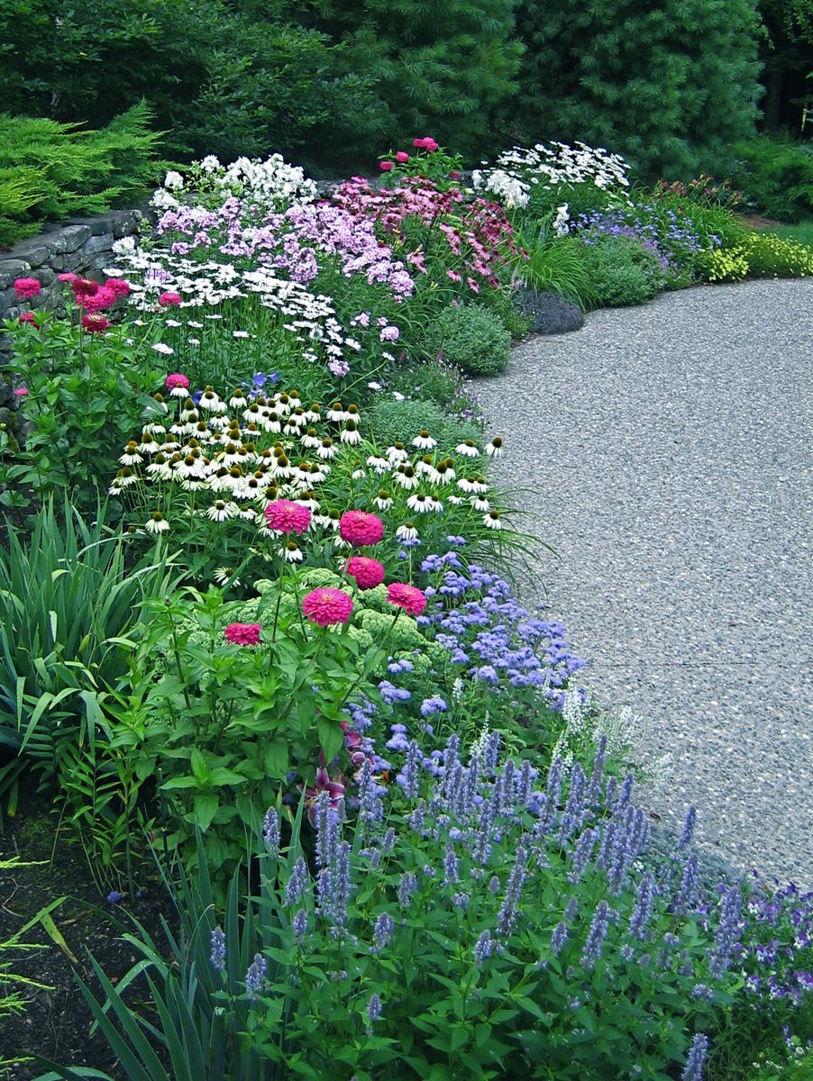 23 Garden Border Plants Ideas You Should Look SharonSable