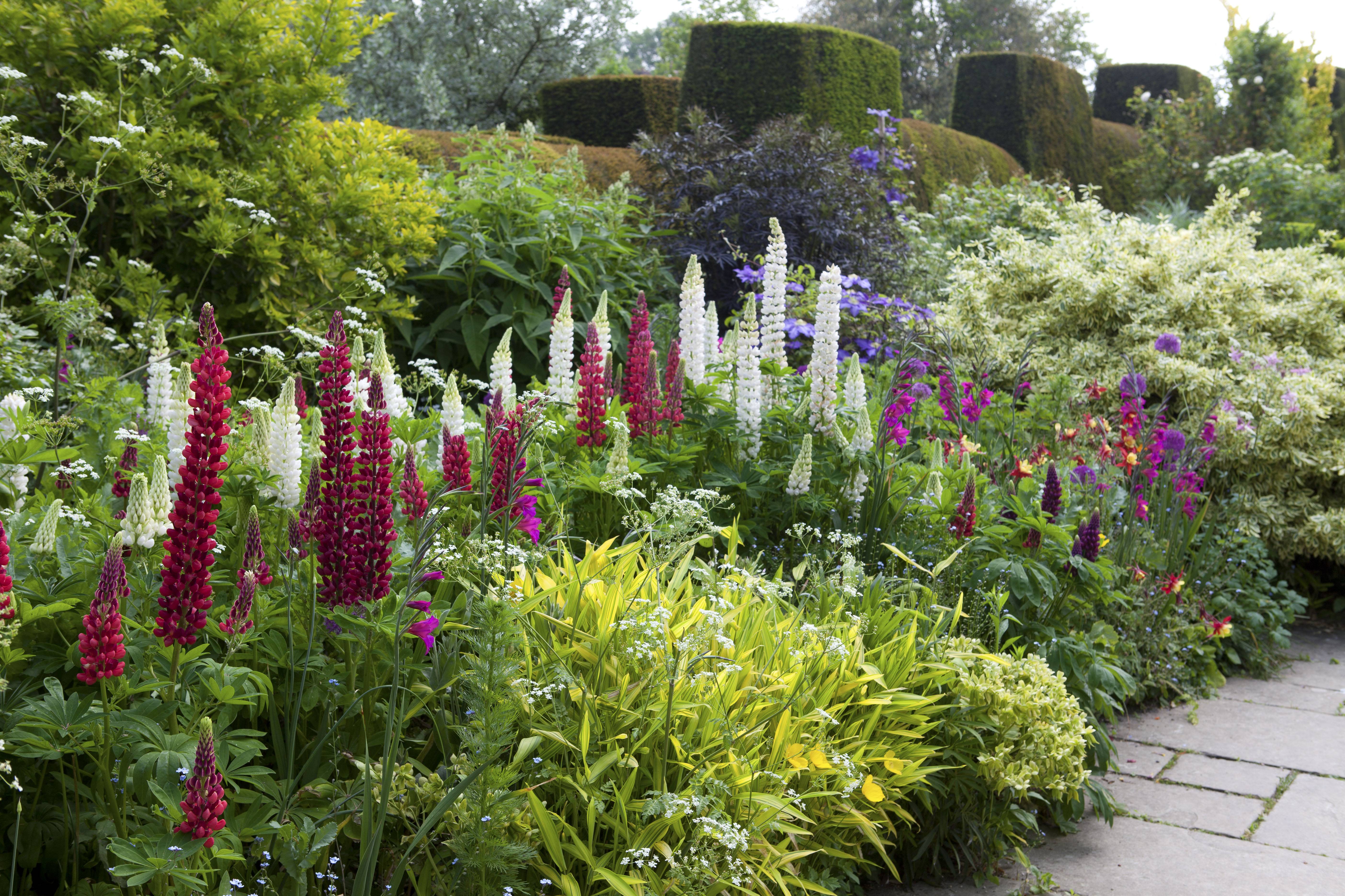 Flower Border Ideas