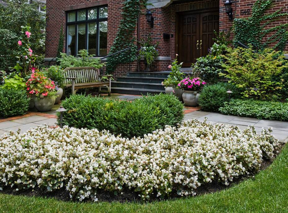 23 Best Garden Border Plants Ideas For This Year SharonSable