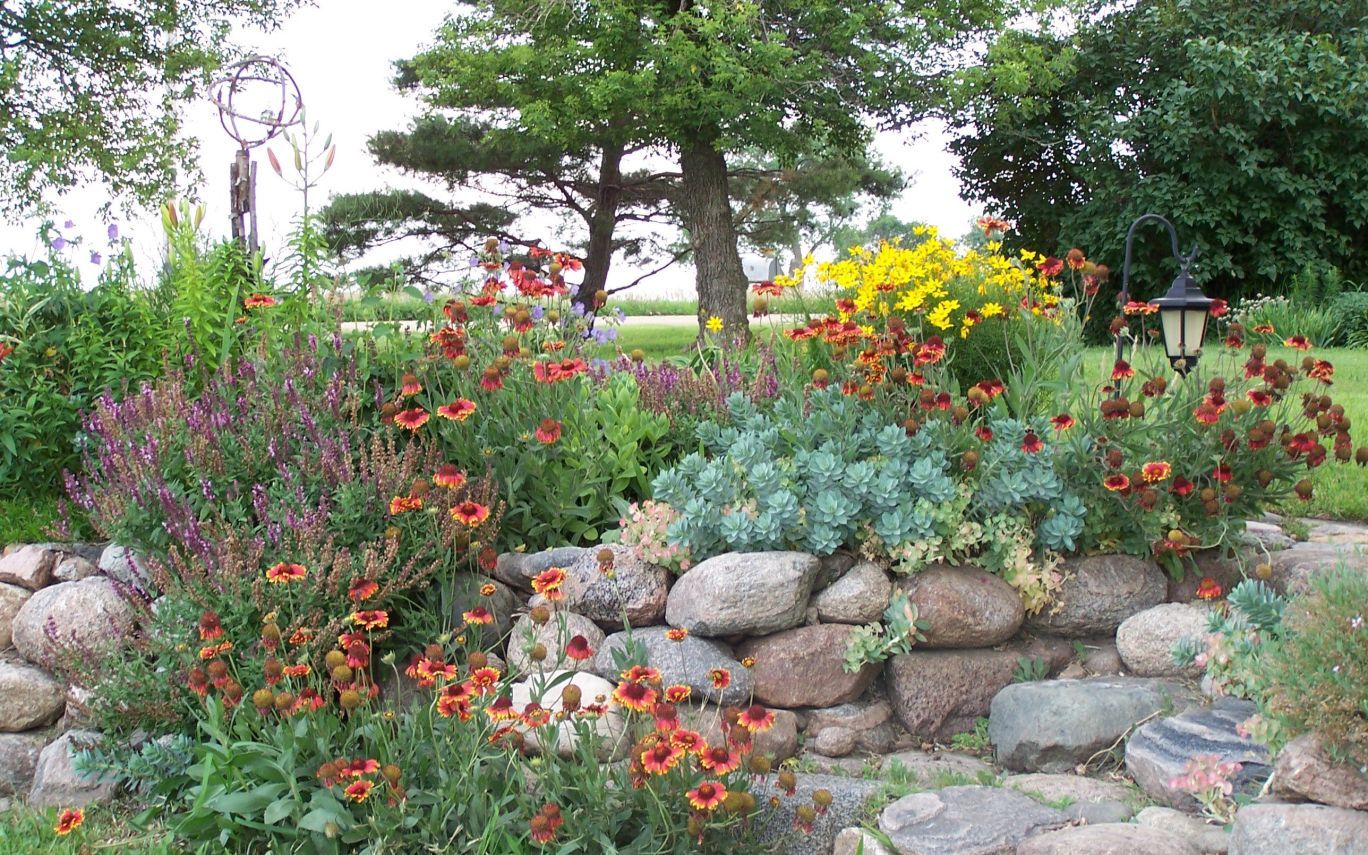 Rock Garden Plants