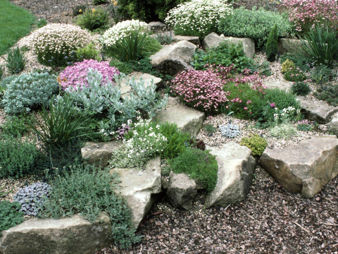 Cottage Garden