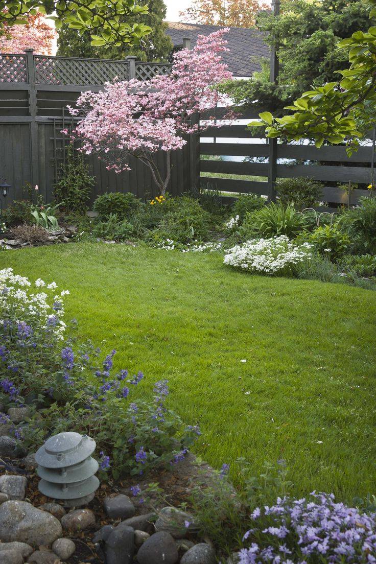 Rock Garden Plants