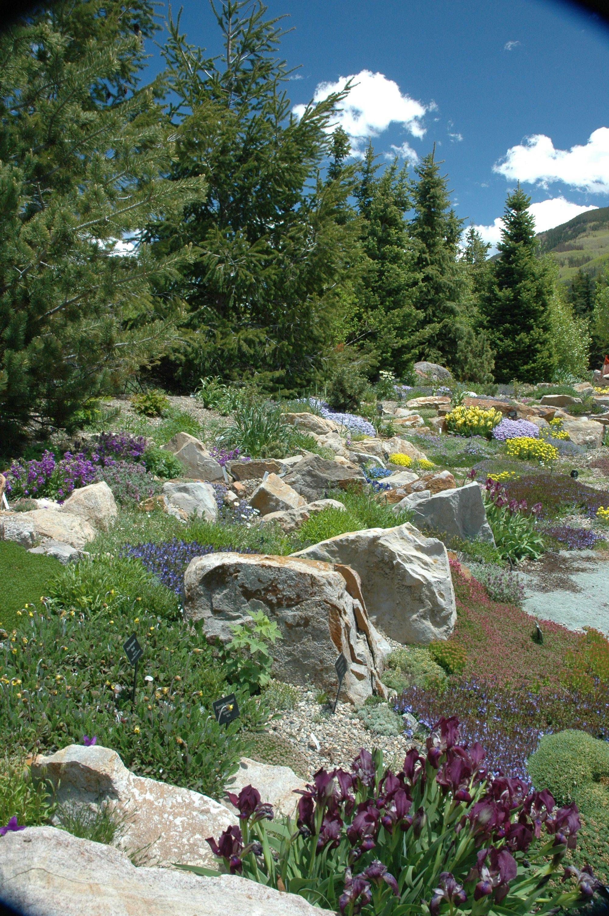 Fabulous Front Yard Rock Garden Ideas