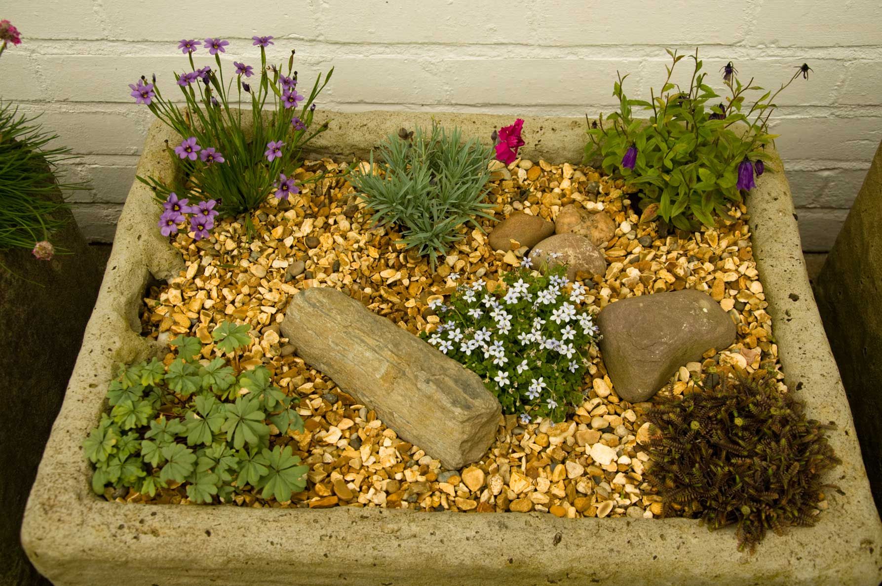 New Totally Free Small Rock Garden Strategies